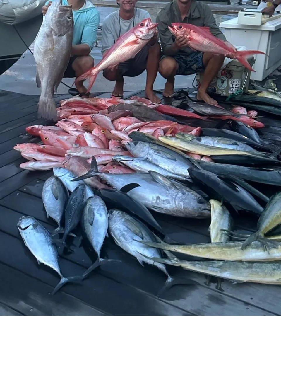A day's catch on the dock